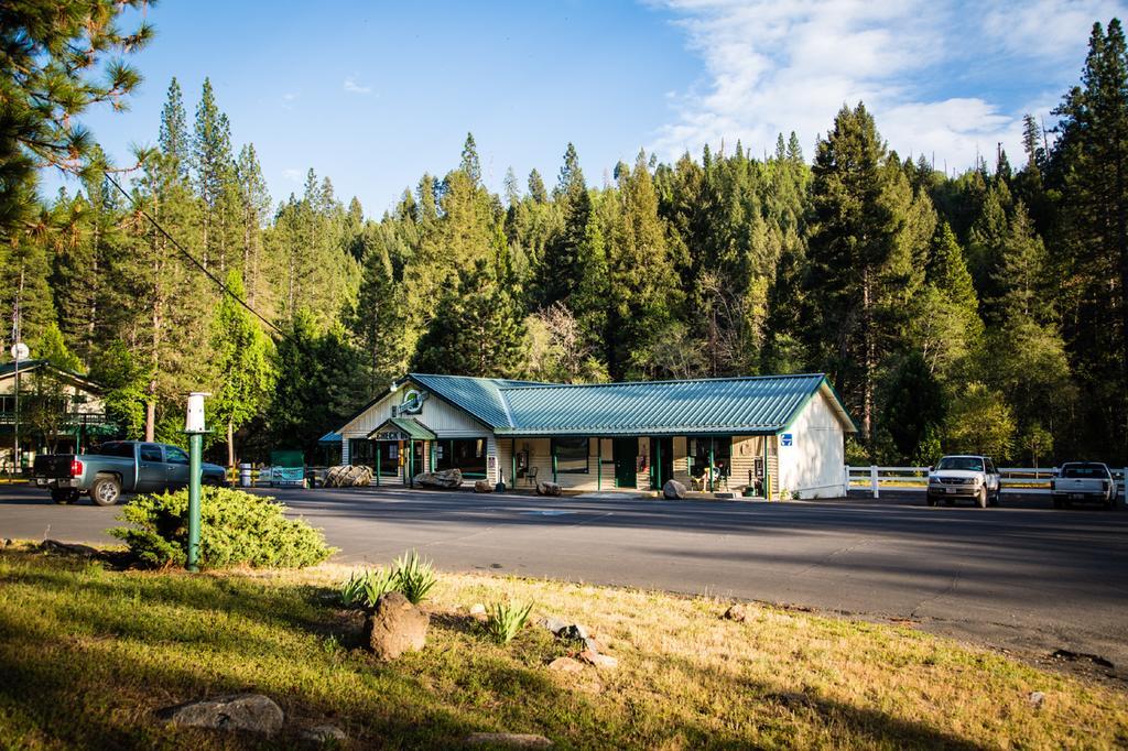 Yosemite Lakes Cabin 40 Harden Flat Exteriör bild