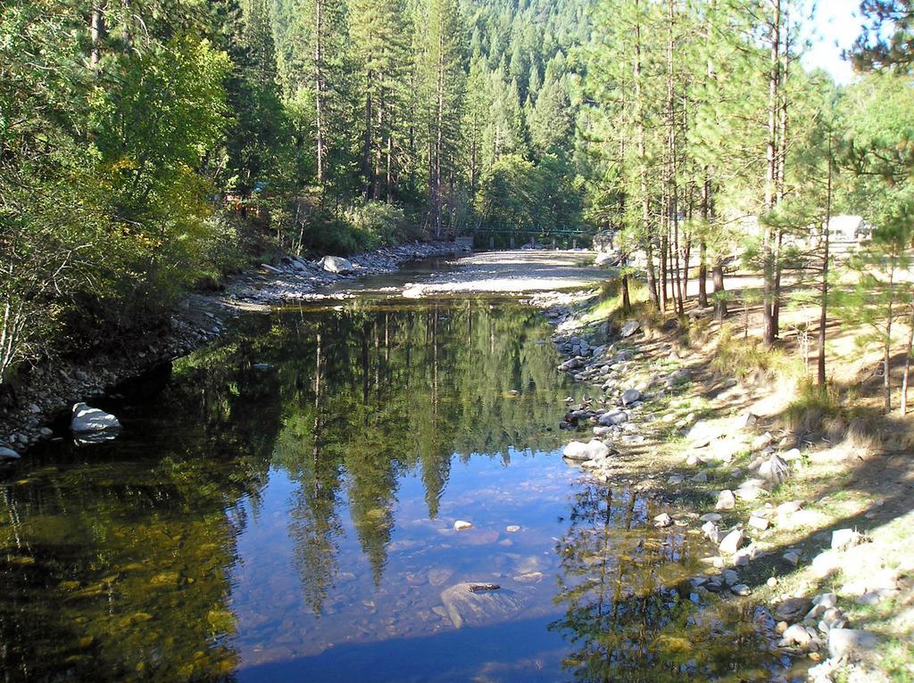 Yosemite Lakes Cabin 40 Harden Flat Exteriör bild